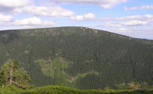 Růžová hora
